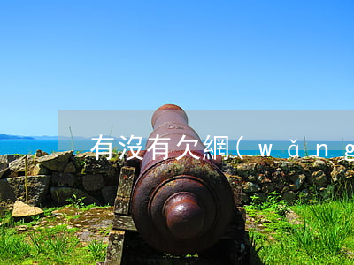 有沒有欠網(wǎng)貸還不上的人