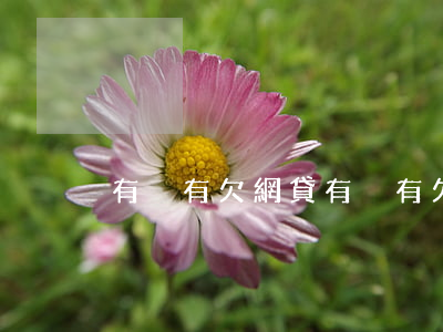 有沒有欠網貸(有沒有欠網貸的QQ交流群)