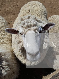 有沒有欠蘭州易分期沒還款的