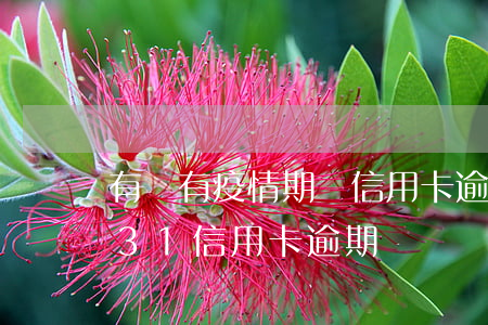 有沒有疫情期間信用卡逾期的（疫情期間0731信用卡逾期）