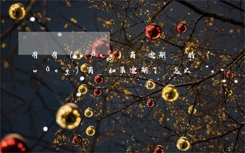 有沒有網(wǎng)商貸逾期沒還的(網(wǎng)商貸如果逾期了,會怎么樣)