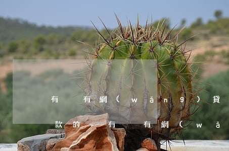 有沒有網(wǎng)貸四十萬逾期半年還款的-有沒有網(wǎng)貸四十萬逾期半年還款的人
