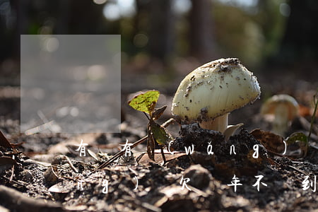 有沒有網(wǎng)貸欠幾年的(網(wǎng)貸欠幾年不還到底有多嚴(yán)重)