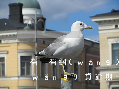 有沒有網(wǎng)貸逾期過一年的(網(wǎng)貸逾期一年在還會有什么后果)