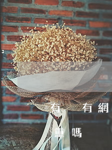 有沒有網貸逾期三個月的(網貸逾期三個月嚴重嗎)