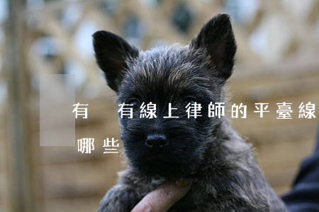 有沒有線上律師的平臺(線上律師咨詢平臺有哪些)