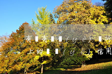 有沒有興業(yè)銀行信用卡逾期半年以上的（興業(yè)信用卡小額逾期）