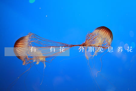 有沒有花唄分期免息券(花唄分期 免息券)