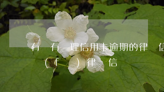 有沒有處理信用卡逾期的律師（信用卡逾期被發(fā)律師信）