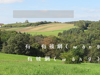 有沒有被網(wǎng)貸起訴的老哥（大家有被網(wǎng)貸起訴的嗎）