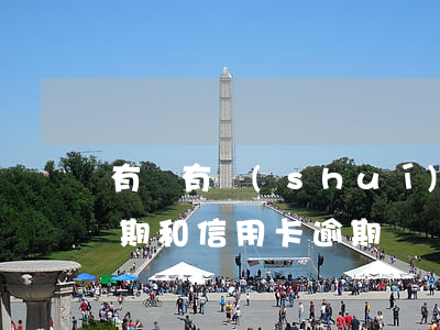有沒有誰(shuí)信用卡逾期啊(貸款逾期和信用卡逾期)