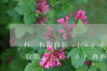 有沒有跟宜信協(xié)商的-有沒有跟宜信協(xié)商的平臺(tái)