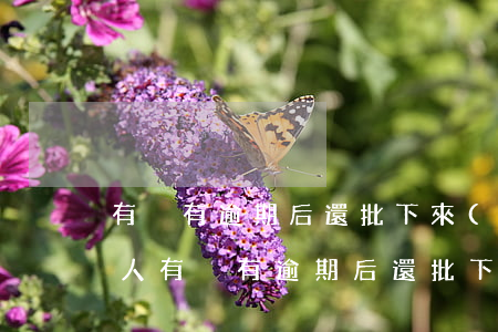有沒有逾期后還批下來(lái)信用卡的人（有沒有逾期后還批下來(lái)信用卡的）