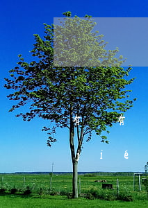 有沒有還不起的貸款(還不起貸款最壞的結(jié)果)