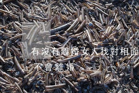 有沒有離婚女人找對相(面相能不能看女人會不會離婚)