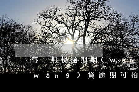 有沒無視逾期網(wǎng)貸的貸款(網(wǎng)貸逾期可怕嗎)