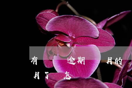 有沒網貸逾期幾個月的(幾個網貸逾期一個多月了會怎樣)