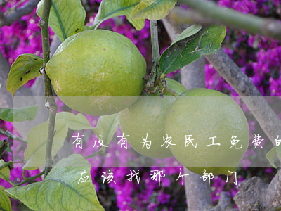 有没有为农民工免费的律师(农民工免费律师应该找那个部门)