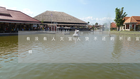 有没有人欠宜人贷不还的(不还宜人贷会怎么样)