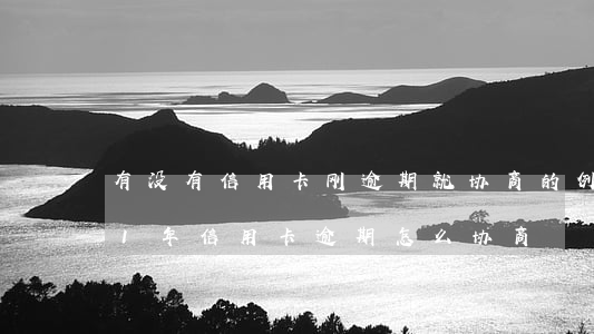 有没有信用卡刚逾期就协商的例子-2021年信用卡逾期怎么协商