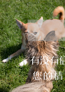 有没有信用卡逾期一年以上没还的？请分享您的情况和解决方案