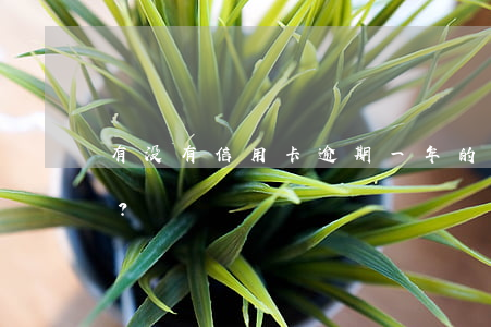 有没有信用卡逾期一年的？他们的现状如何？