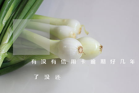 有没有信用卡逾期好几年的（信用卡逾期几年了没还）