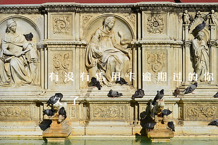 有没有信用卡逾期过的(你们的信用卡逾期多久了)
