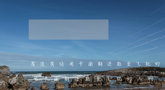 有没有信用卡逾期还能坐飞机的-有没有信用卡逾期还能坐飞机的人啊