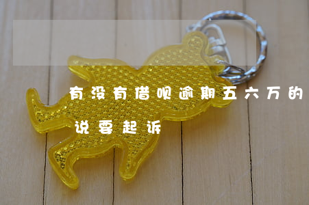 有没有借呗逾期五六万的(借呗逾期五万半年说要起诉)