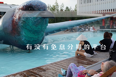 有没有免息分期的平台
