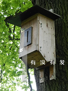 有没有发财鱼逾期的(发财鱼烂尾是什么原因)