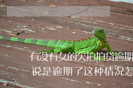 有没有女的欠拍拍贷逾期(没用过拍拍贷但是说是逾期了这种情况怎么办)
