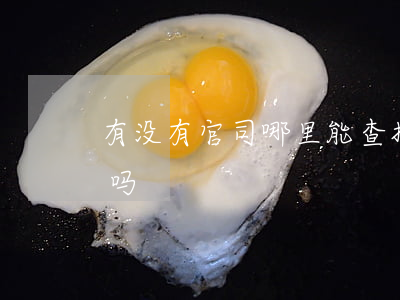有没有官司哪里能查(打官司的结果可以查到吗)