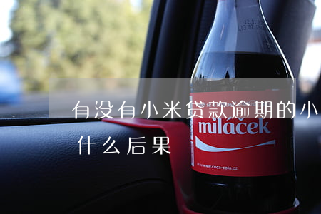 有没有小米贷款逾期的(小米贷款逾期十天有什么后果)