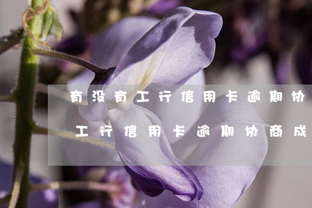 有没有工行信用卡逾期协商成功的-有没有工行信用卡逾期协商成功的人