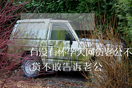 有没有怀孕欠网贷老公不知道的(欠了很多网贷不敢告诉老公)