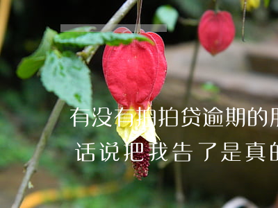 有没有拍拍贷逾期的朋友(拍拍贷逾期后打电话说把我告了是真的吗)