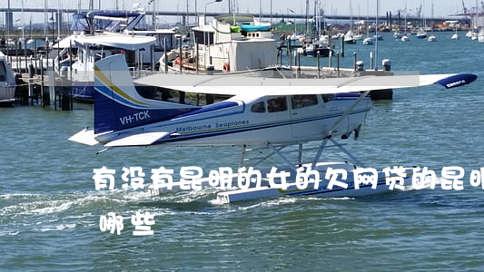 有没有昆明的女的欠网贷的(昆明网贷公司有哪些)