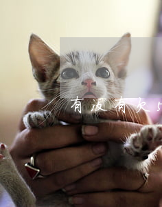 有没有欠51人品贷(51人品贷最近怎么了)