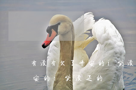 有没有欠了平安的i贷没还的(有没有欠了平安的i贷没还的)