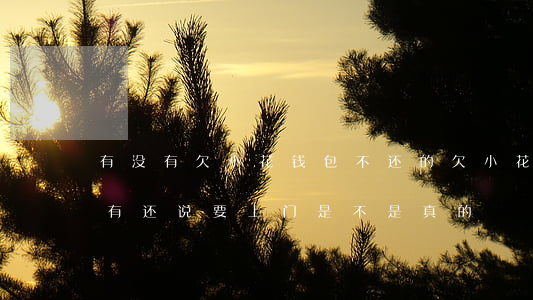 有没有欠小花钱包不还的(欠小花钱包的钱没有还,说要上门是不是真的)