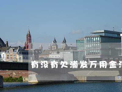 有没有欠浦发万用金没还坐牢的-