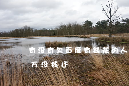 有没有欠百度有钱花的人(欠百度有钱花十几万没钱还)