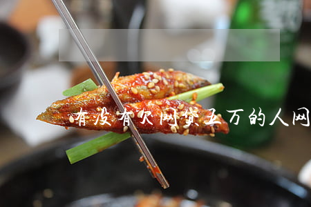 有没有欠网贷五万的人(网贷欠五万算多吗)