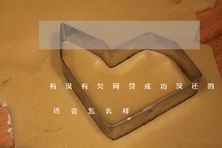 有没有欠网贷成功没还的(要是欠了网贷没有还会怎么样)