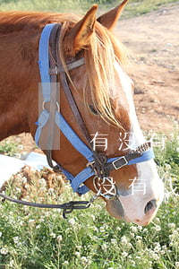 有没有欠网贷没钱还最后怎么样了-欠网贷没有钱还会不会坐牢