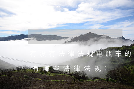 有没有法律法规电瓶车的规定(关于电瓶车有哪些法律法规)
