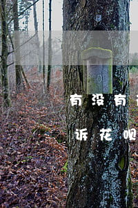 有没有花呗逾期很久的(花呗逾期多久会被起诉?花呗逾期怎么办)