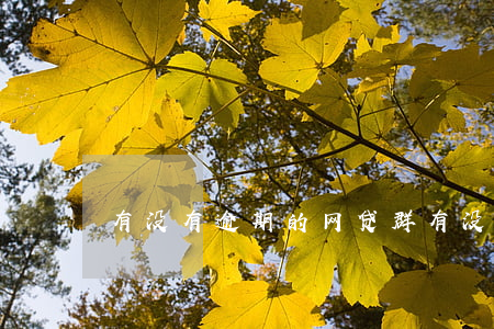 有没有逾期的网贷群（有没有逾期的群）